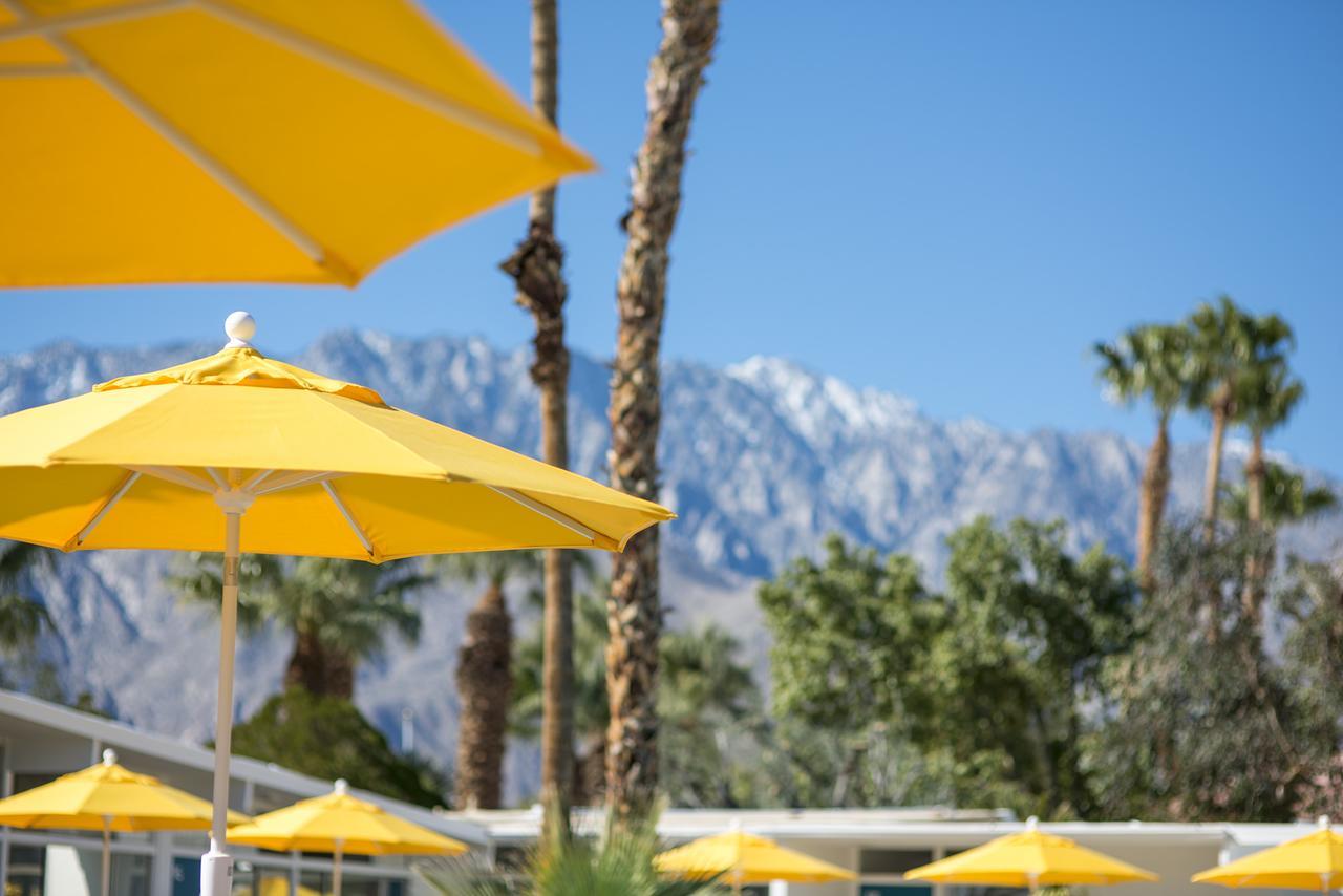 The Monkey Tree Hotel Palm Springs Exterior foto